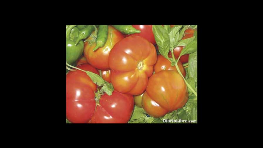 Desde el cachú hasta el Bloody Mary: el gracioso tomate