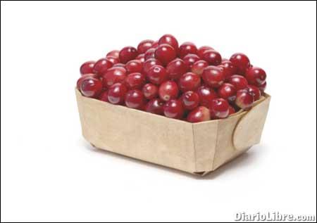 El Cranberry: antioxidante y antibacteriano