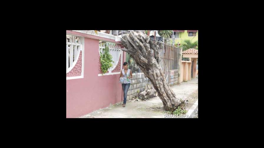 M. - El Mural de DL M. - El Mural de DL