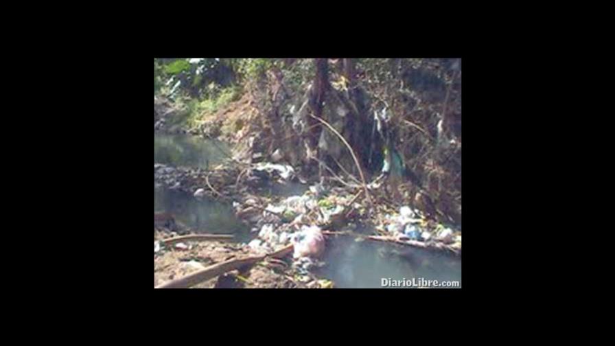 El Mural de DL-Se nos muere el Arroyo Manzano