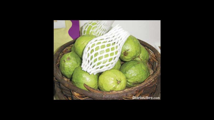 Guayabas orgánicas ya están certificadas