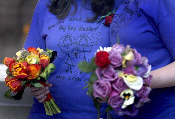 Tribunal Constitucional chileno admite recurso a favor matrimonio homosexual