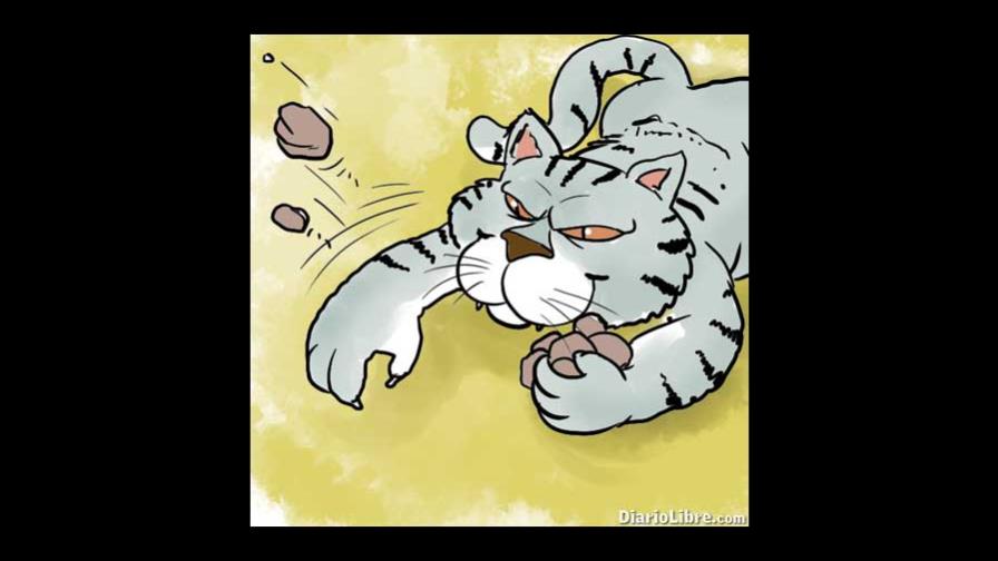 En directo - La gatita de María Ramos