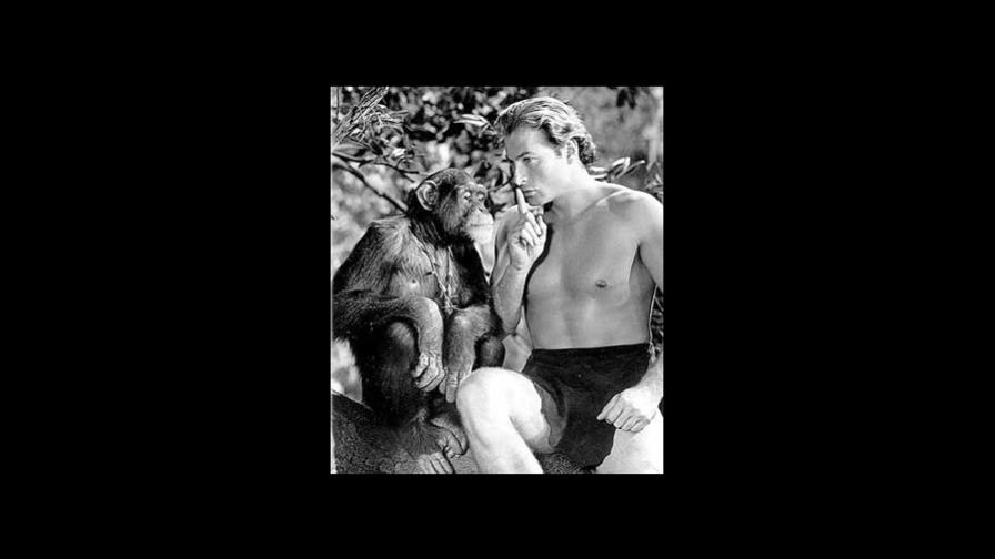 Muerte de mona Chita crea dudas