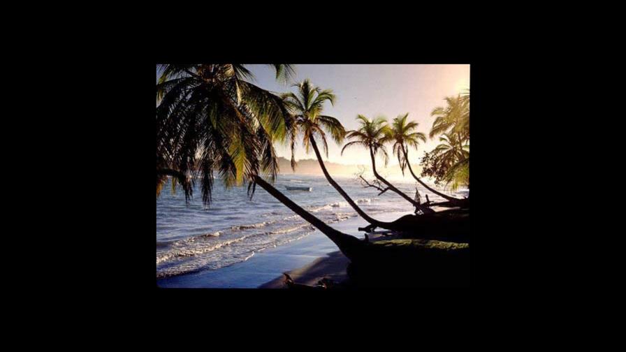 El sueño dominicano