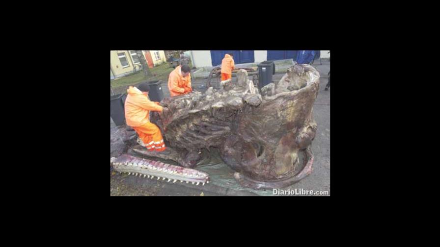 Preparándolo para su conservación