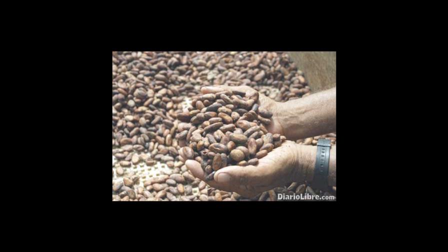 Cacao mundial caro; en el país se cotiza a RD$5,000 el quintal Cacao mundial caro; en el país se cotiza a RD$5,000 el quintal