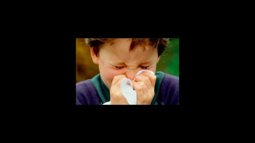 ¿Qué puedo hacer para controlar la fiebre del heno y la rinitis alérgica?