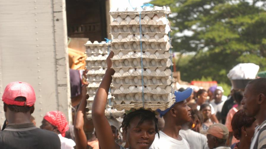 Ventas de huevos y pollos a Haití superan US$30.4 MM