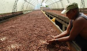 Caficultores de Costa Rica combaten cambio climático con tecnología