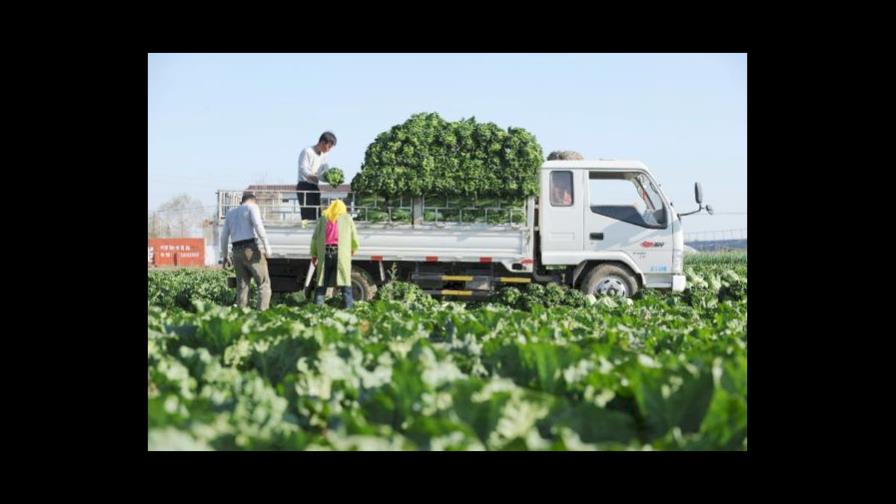 Los países pobres deben ir más allá de la agricultura para crecer