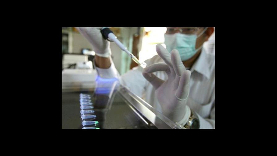 Terapia restablece capacidad de sistema inmune contra el cáncer Terapia restablece capacidad de sistema inmune contra el cáncer