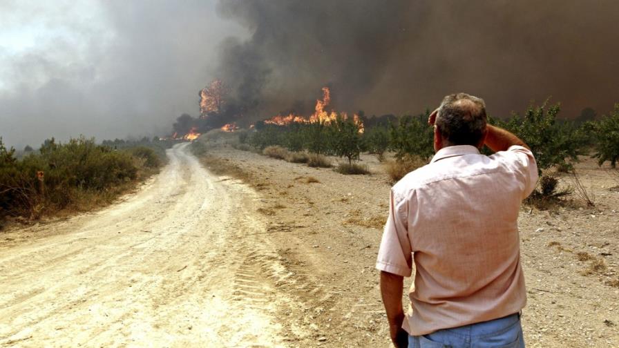 Incendios arrasan con unas 20 mil hectáreas