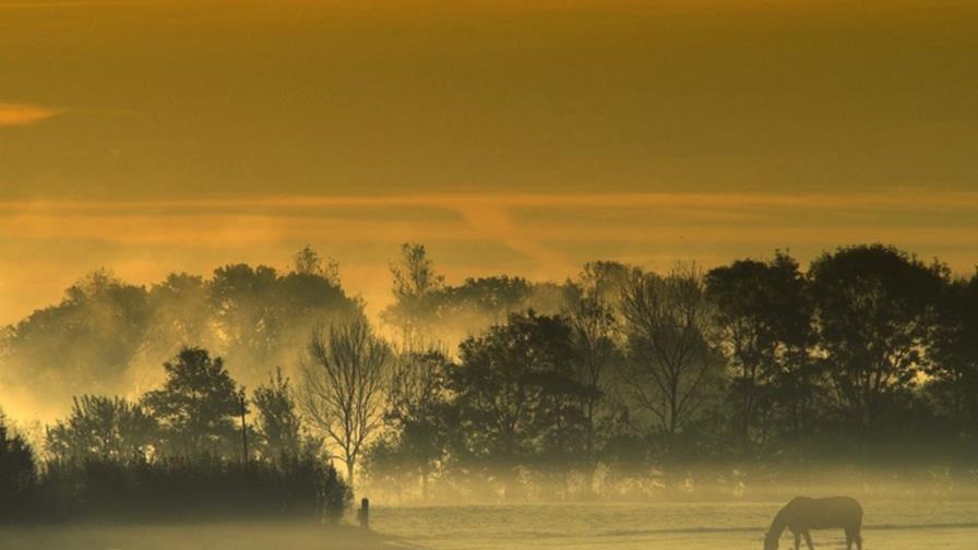 En directo - Al amanecer, la niebla