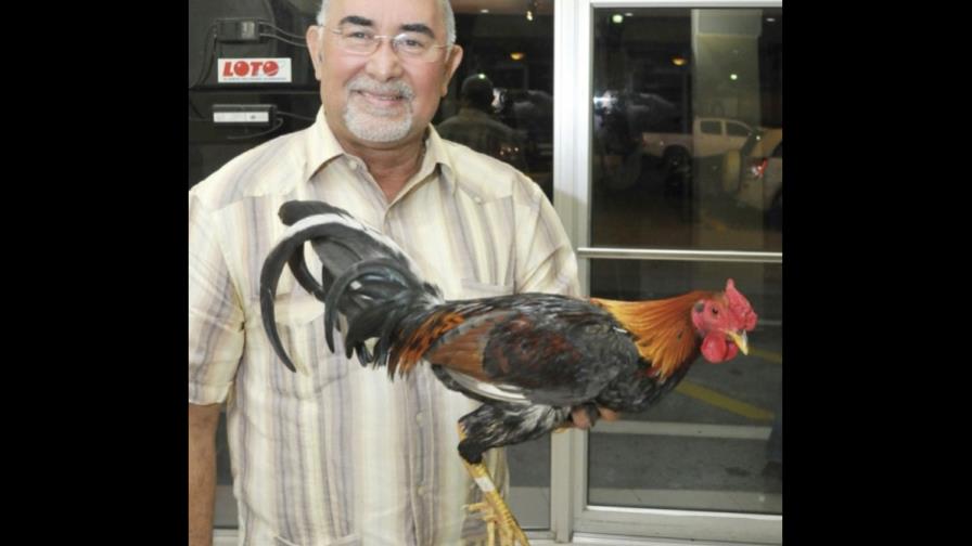 José Vargas, Maunaloa y Rosaka, triunfan