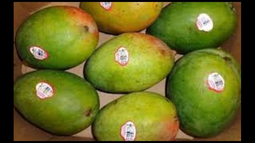 Alertan de posible salmonelosis por mangos en Estados Unidos Alertan de posible salmonelosis por mangos en Estados Unidos