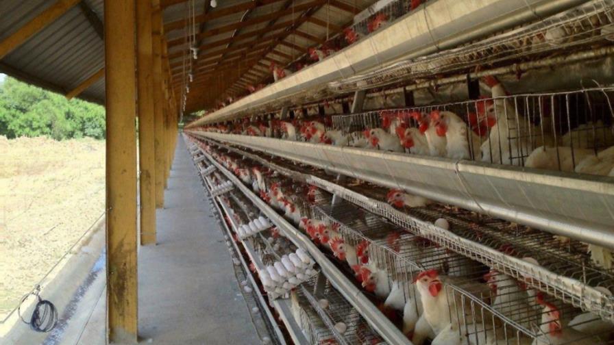 Inauguran Granja Educativa Guanuma
