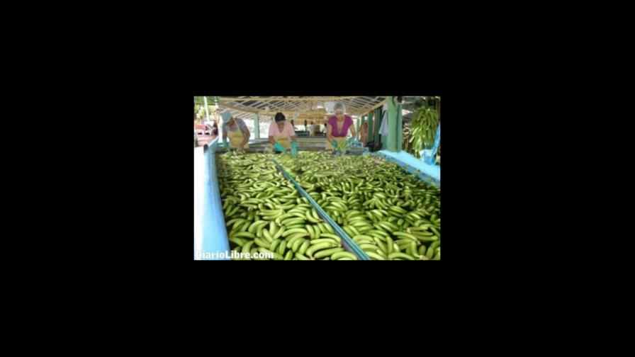 DR exports US$205 million in organic products DR exports US$205 million in organic products
