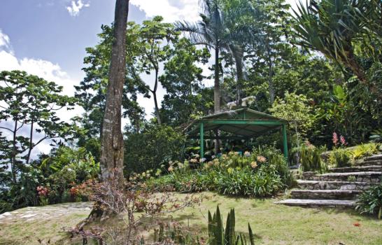 Un jardín silvestre en la cima de San Cristóbal