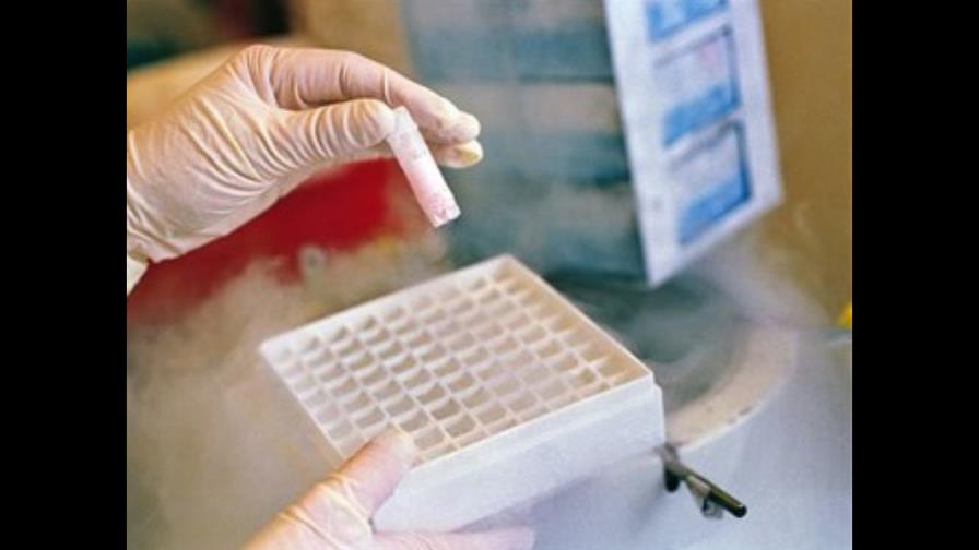 La calidad del esperma de los franceses bajó un 32 % entre 1989 y 2005