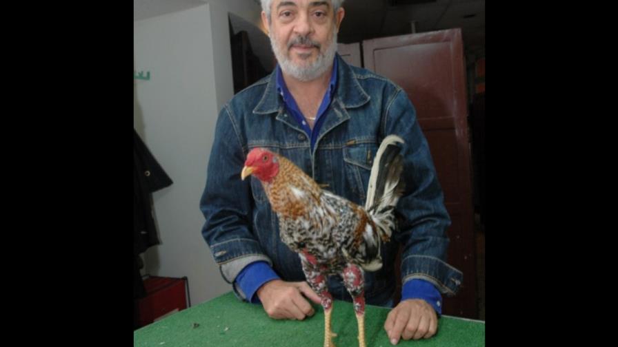 Río Camú, La Colmena y Los Nin triunfaron Río Camú, La Colmena y Los Nin triunfaron