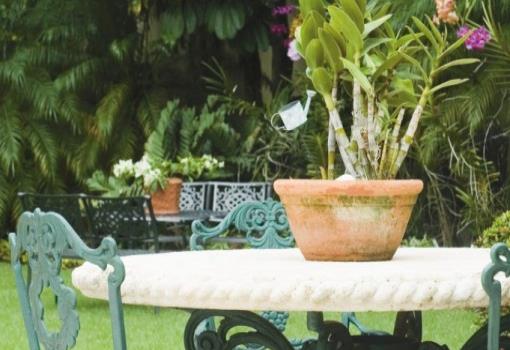 El transcurrir de la vida frente a un jardín capitaleño