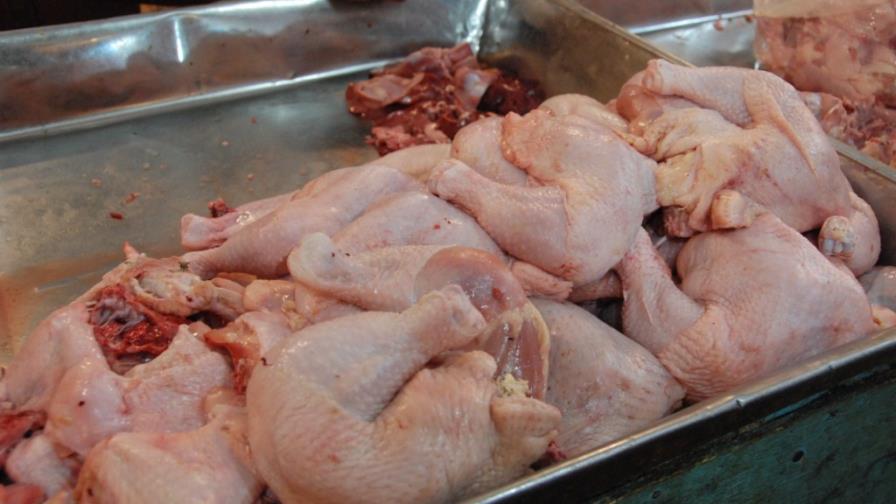 Avicultores afirman es insostenible libra de pollo a RD$46.00