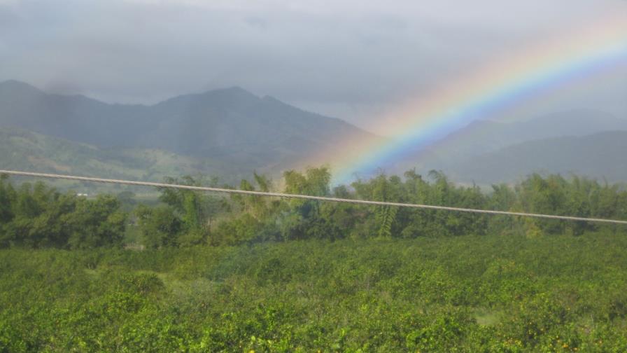 Secretario de Río+20 afirma que ONU puede crear organismo para medioambiente
