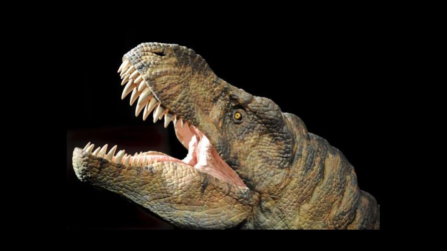 Las emisiones de metano de los dinosaurios pudieron calentar el planeta