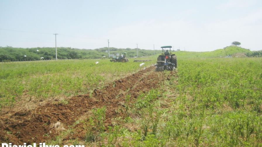 La agropecuaria, uno de los tres pilares para el Gobierno