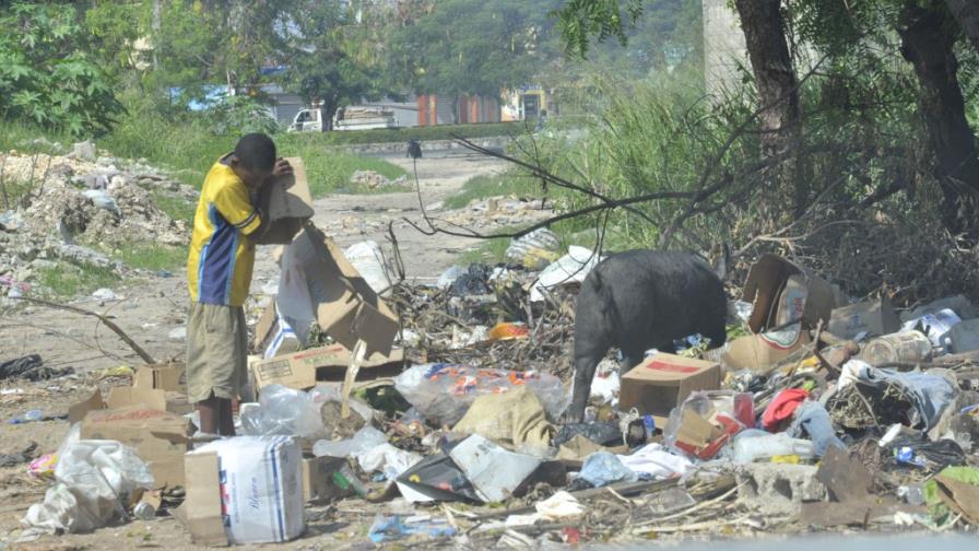 Área verde o basurero público