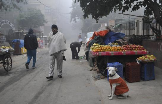 Frío en la India