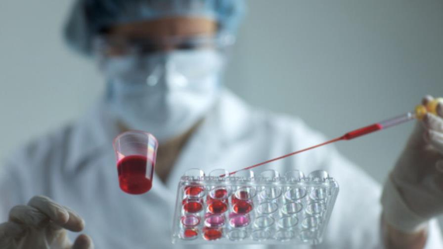 Células madre mesenquimales, el último adelanto en la medicina regenerativa Células madre mesenquimales, el último adelanto en la medicina regenerativa