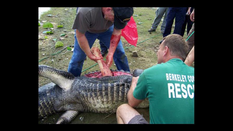 Caimán le arranca un brazo a un joven de 17 años