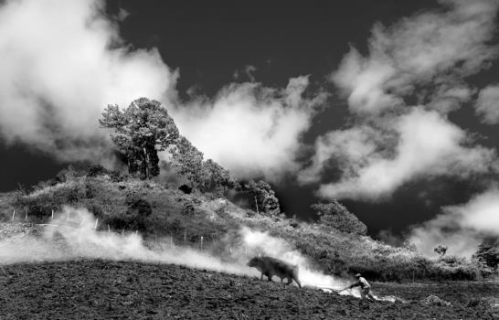 Blanco, negro y Apeco