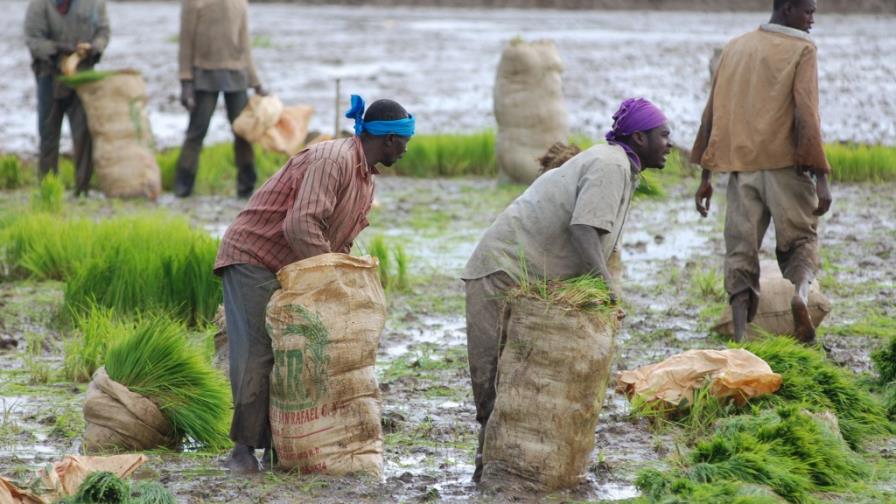 Migración flexibilizaría las exigencias de su reglamento Migración flexibilizaría las exigencias de su reglamento