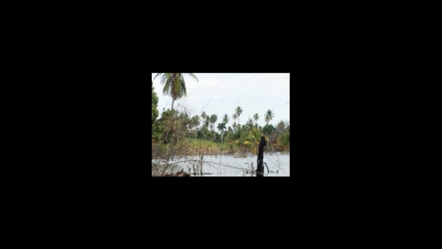 Agrícultores afectados por crecida de Lago Enriquillo piden ayuda Agrícultores afectados por crecida de Lago Enriquillo piden ayuda