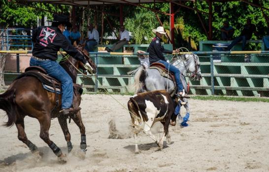 Vaqueros dominicanos en acción