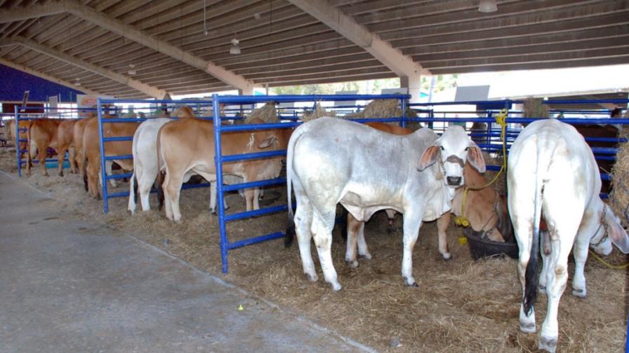 Piden al Gobierno no gravar agropecuaria