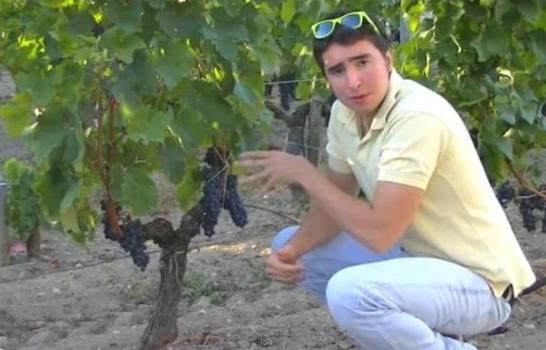 Álvaro Bonnelly: El mejor vino es el que te deja sin palabras