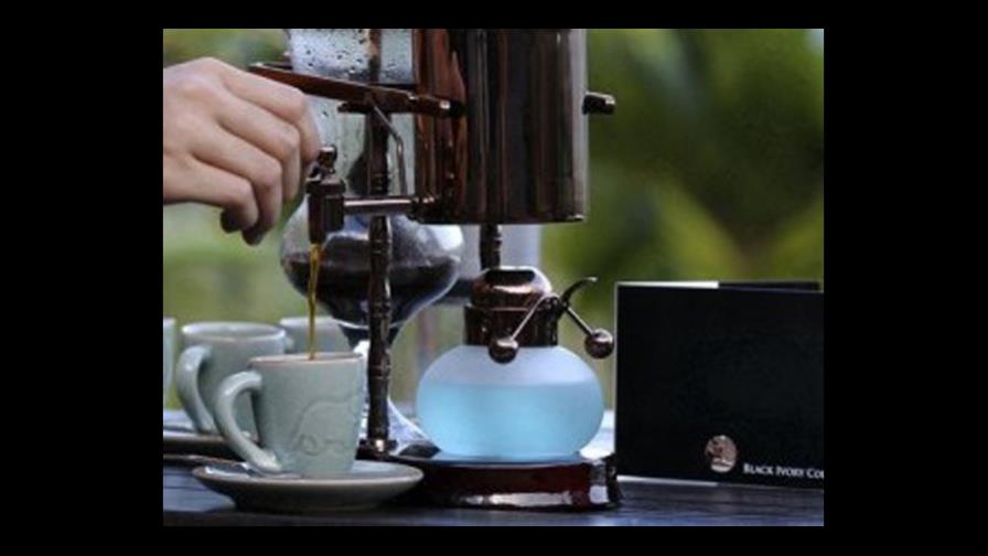 Elaboran café con excremento de elefantes Elaboran café con excremento de elefantes