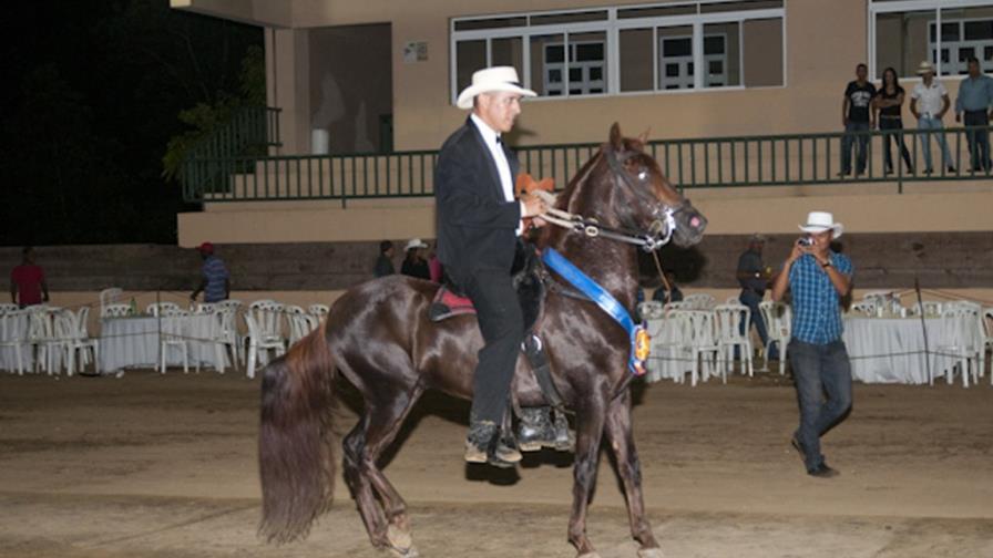 Dibujo del Abuelo triunfa en paso fino