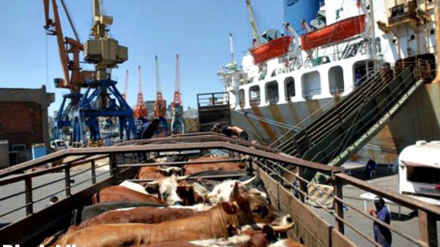 Dominicana exporta carnes y 180 animales hacia Surinam