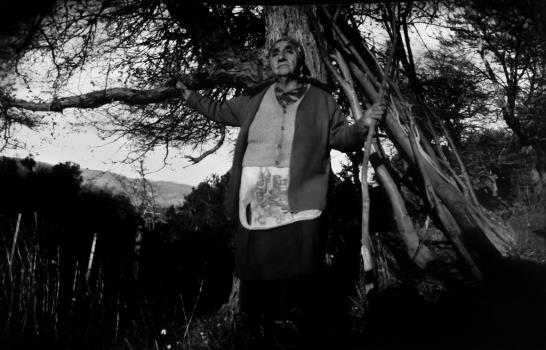 Aborígenes argentinos, de seres primitivos a fotógrafos de vidas complejas