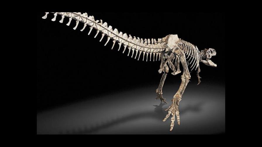 Los dinosaurios del Jurásico sufrían artritis hace 150 millones de años