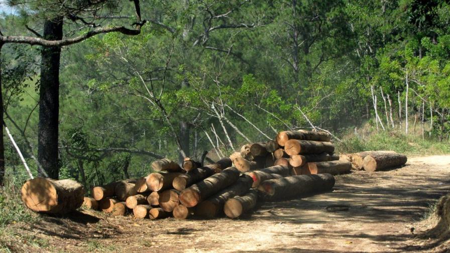 En casi 8 meses han presentado 5,456 quejas ambientales En casi 8 meses han presentado 5,456 quejas ambientales