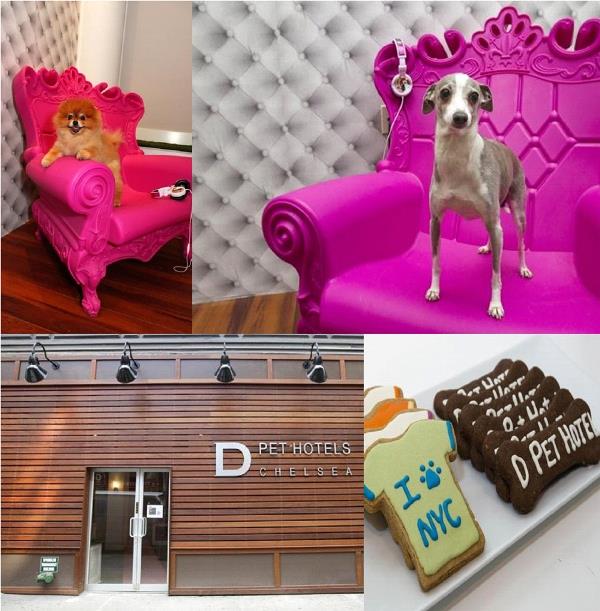 Un hotel de lujo para perros abre sus puertas en Nueva York