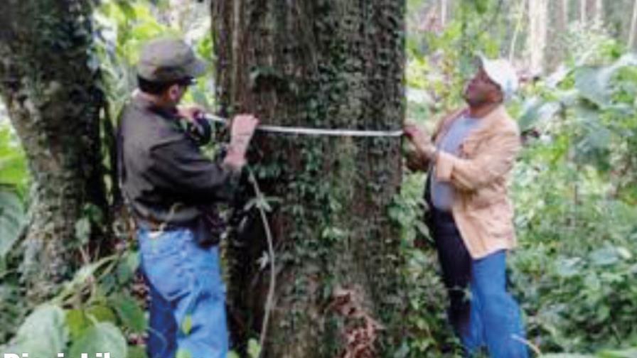 Advierten acerca de daños por exploración minera