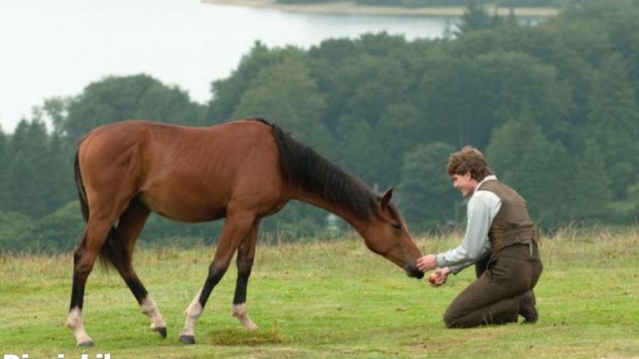 Spielberg pacifista: Caballo de batalla