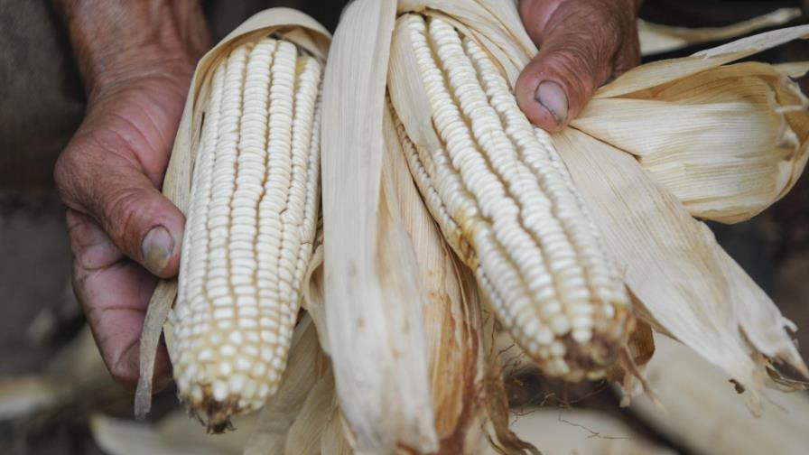 Seguridad alimentaria y medio ambiente